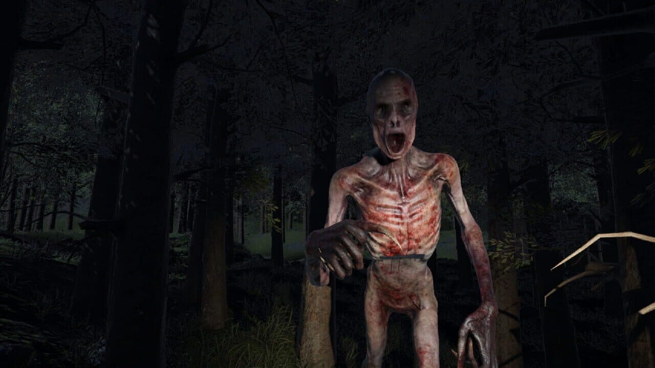 The Old Man’s Will thumbnail 5