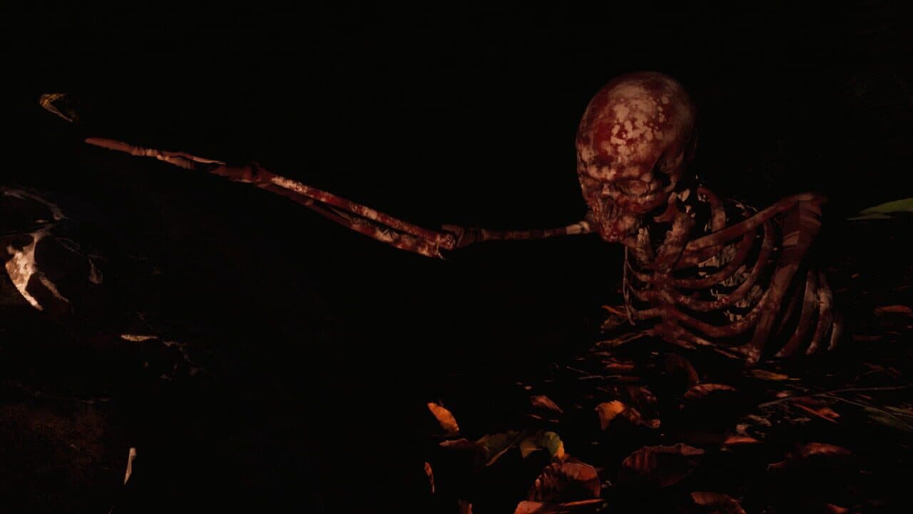 Skinwoods: The Full Cut thumbnail 4