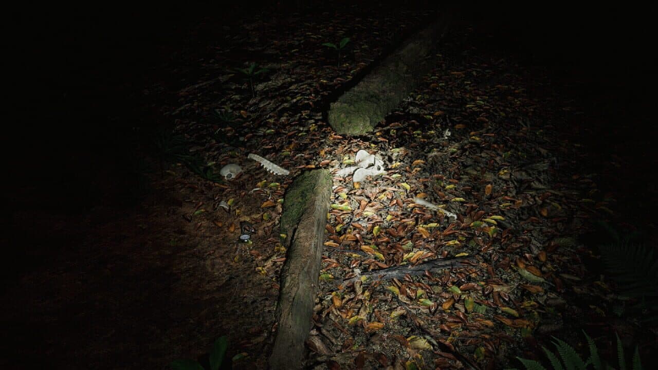 Skinwoods: The Full Cut thumbnail 5