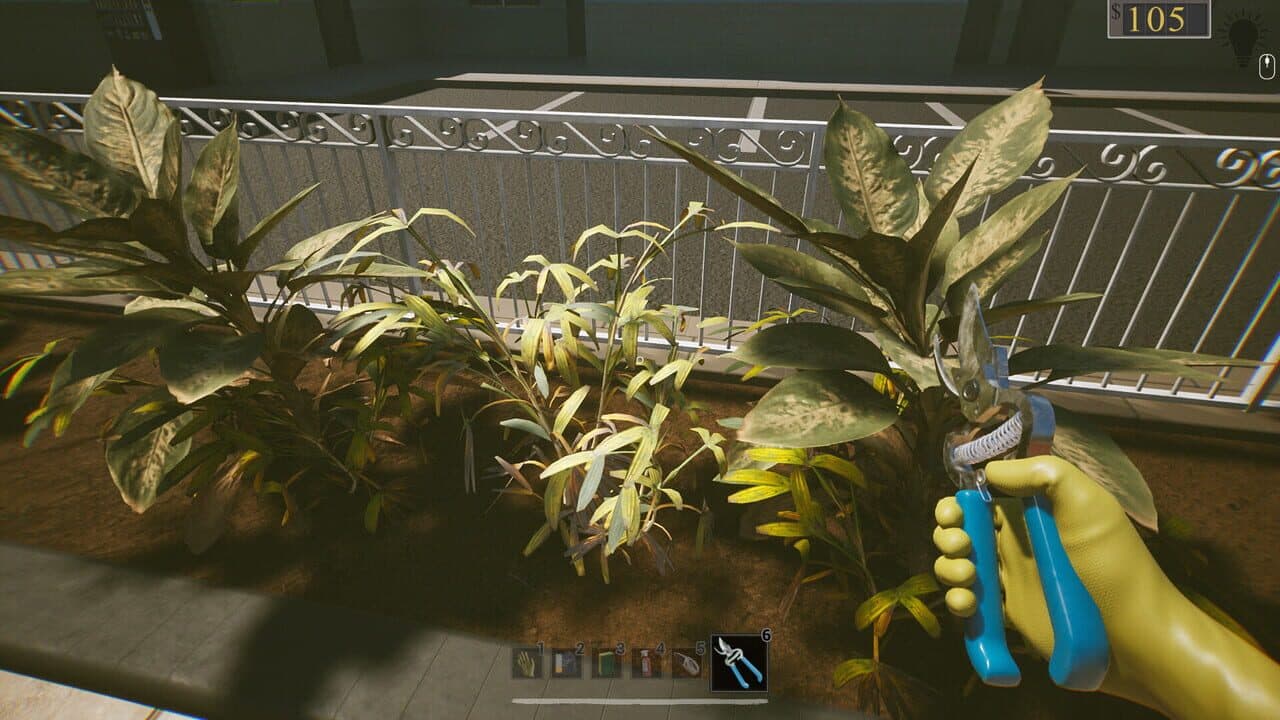 Anomalous Cleaning Detail thumbnail 6