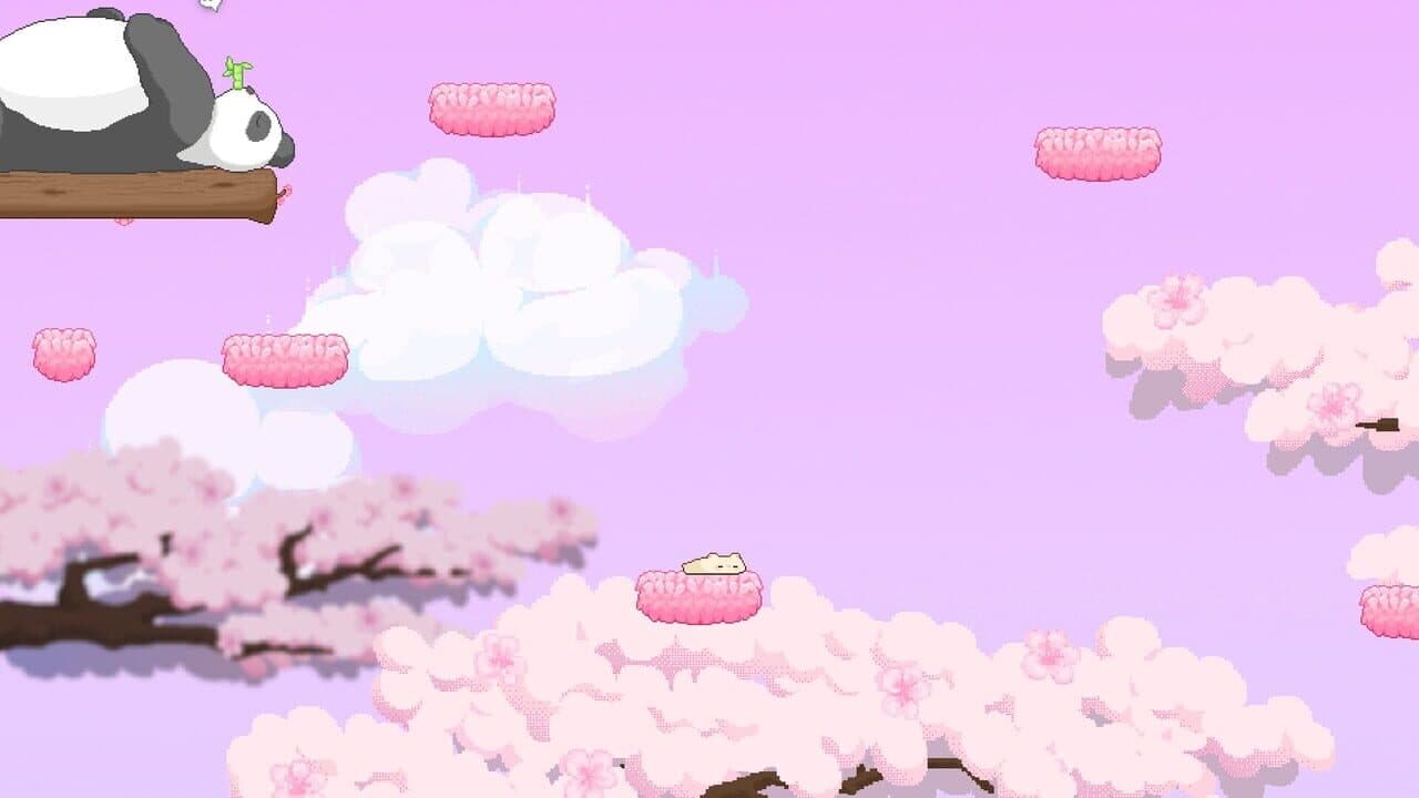Hamstory thumbnail 4