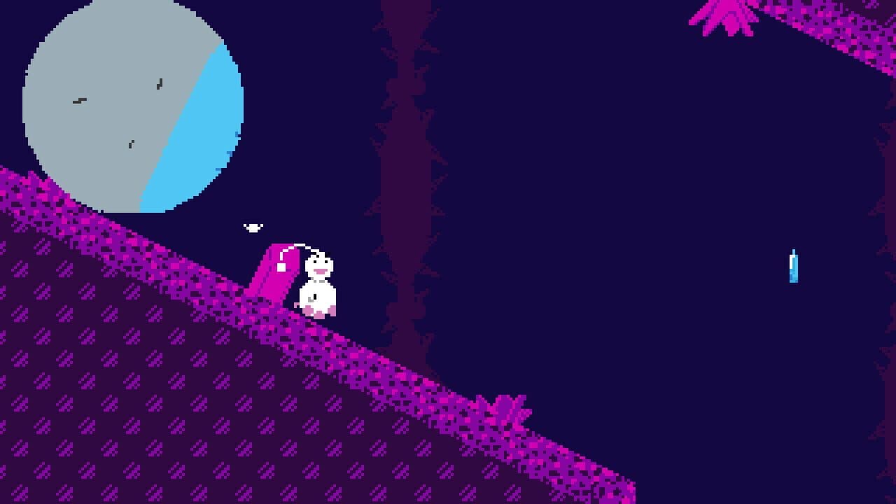 Coraroc thumbnail 2