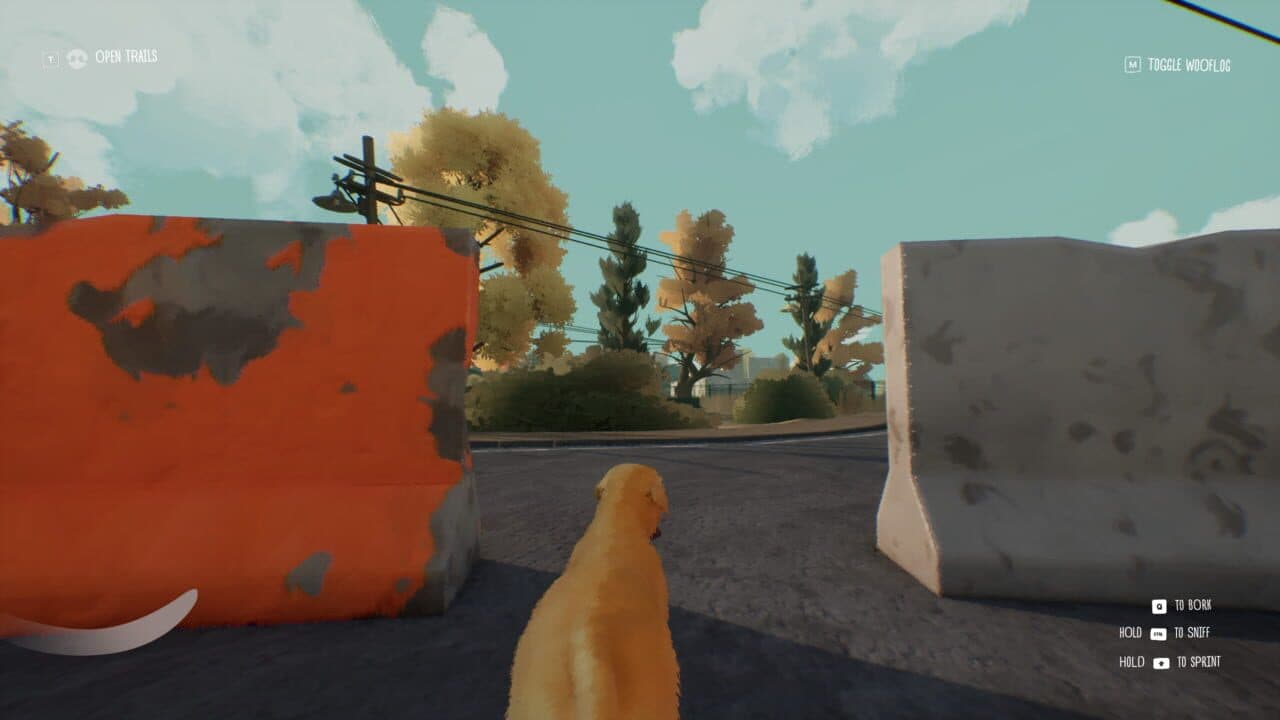 Tailgate thumbnail 13