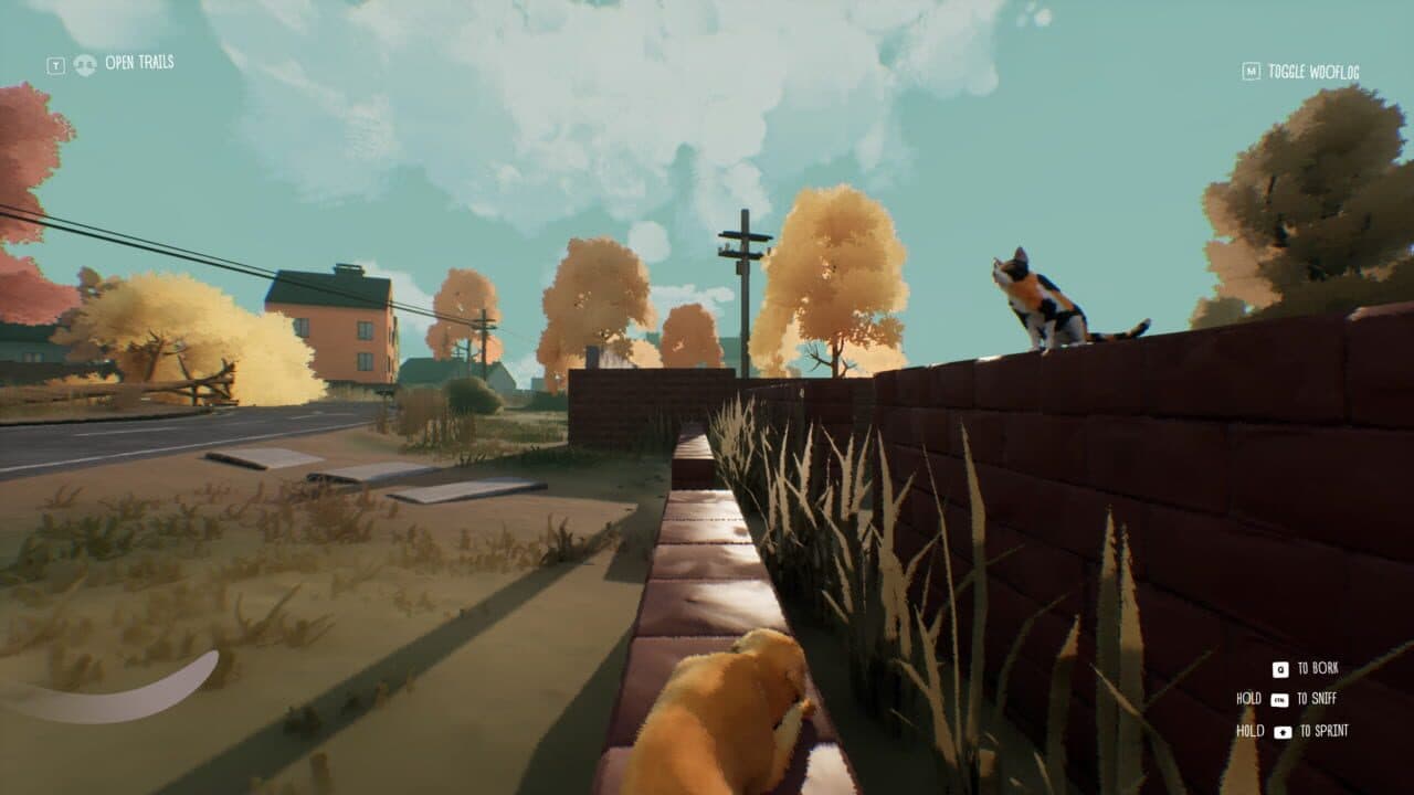 Tailgate thumbnail 10