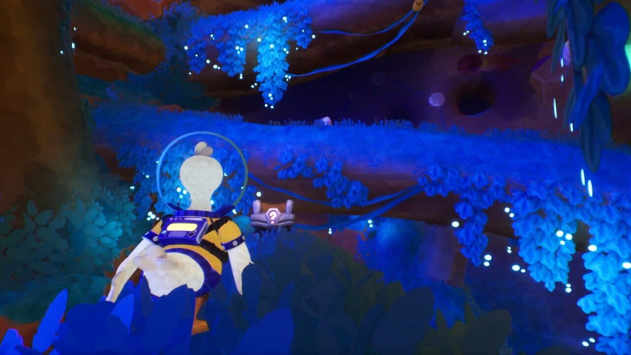 Duck Side of the Moon thumbnail 7