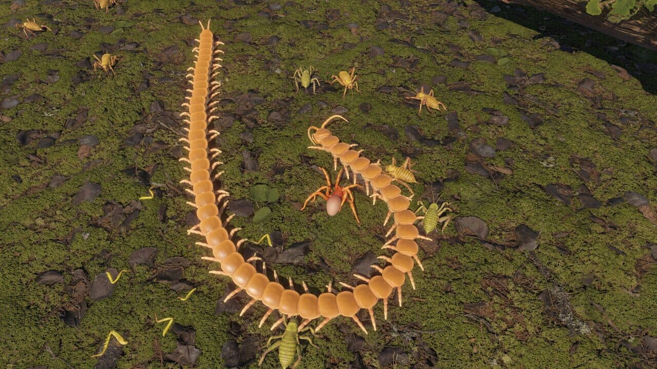 Centipede Simulator thumbnail 10