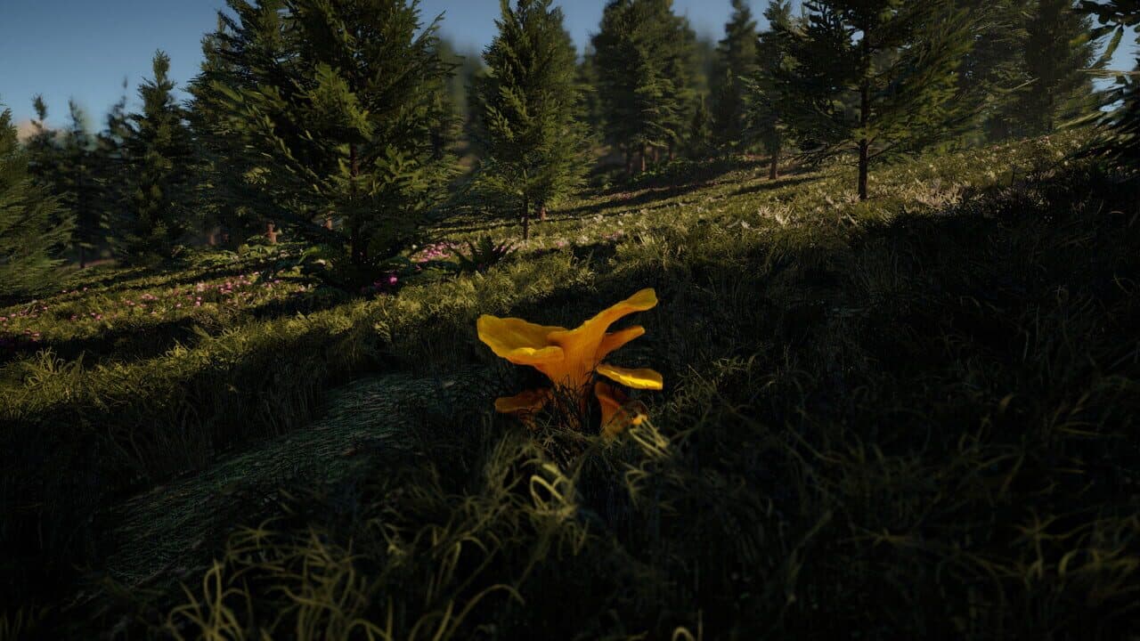 Forager's Finds thumbnail 11