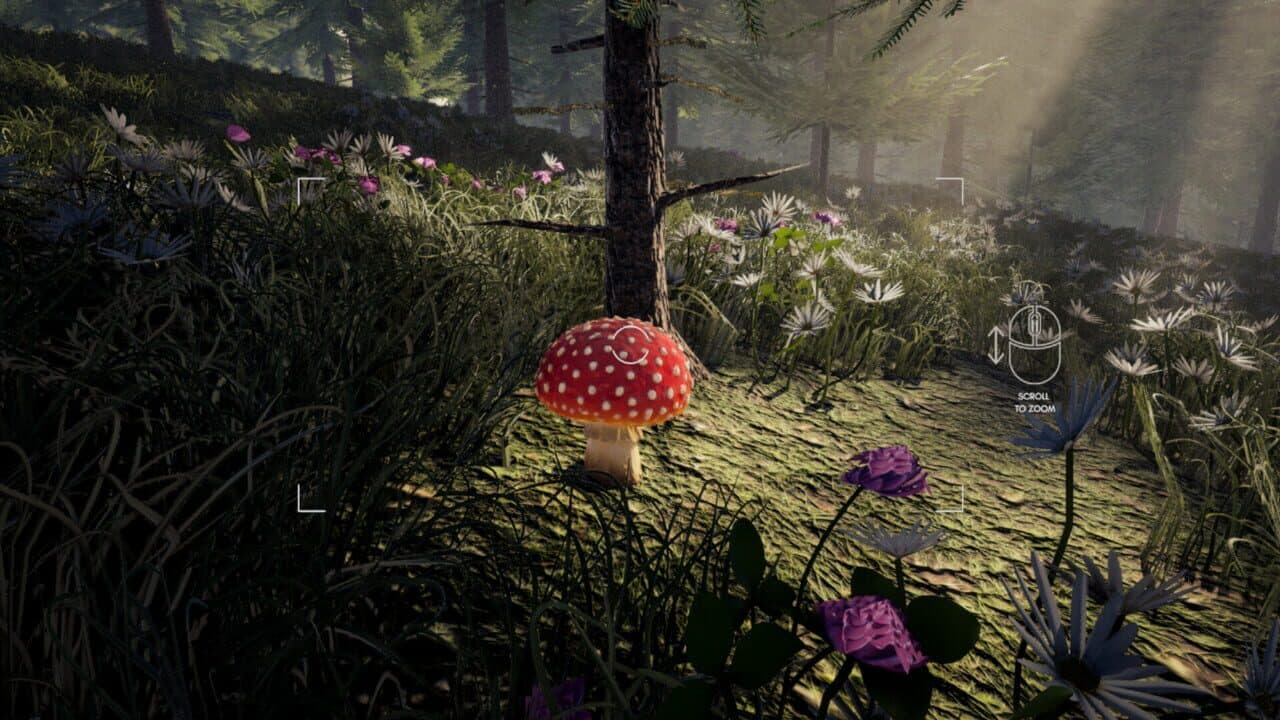 Forager's Finds thumbnail 12