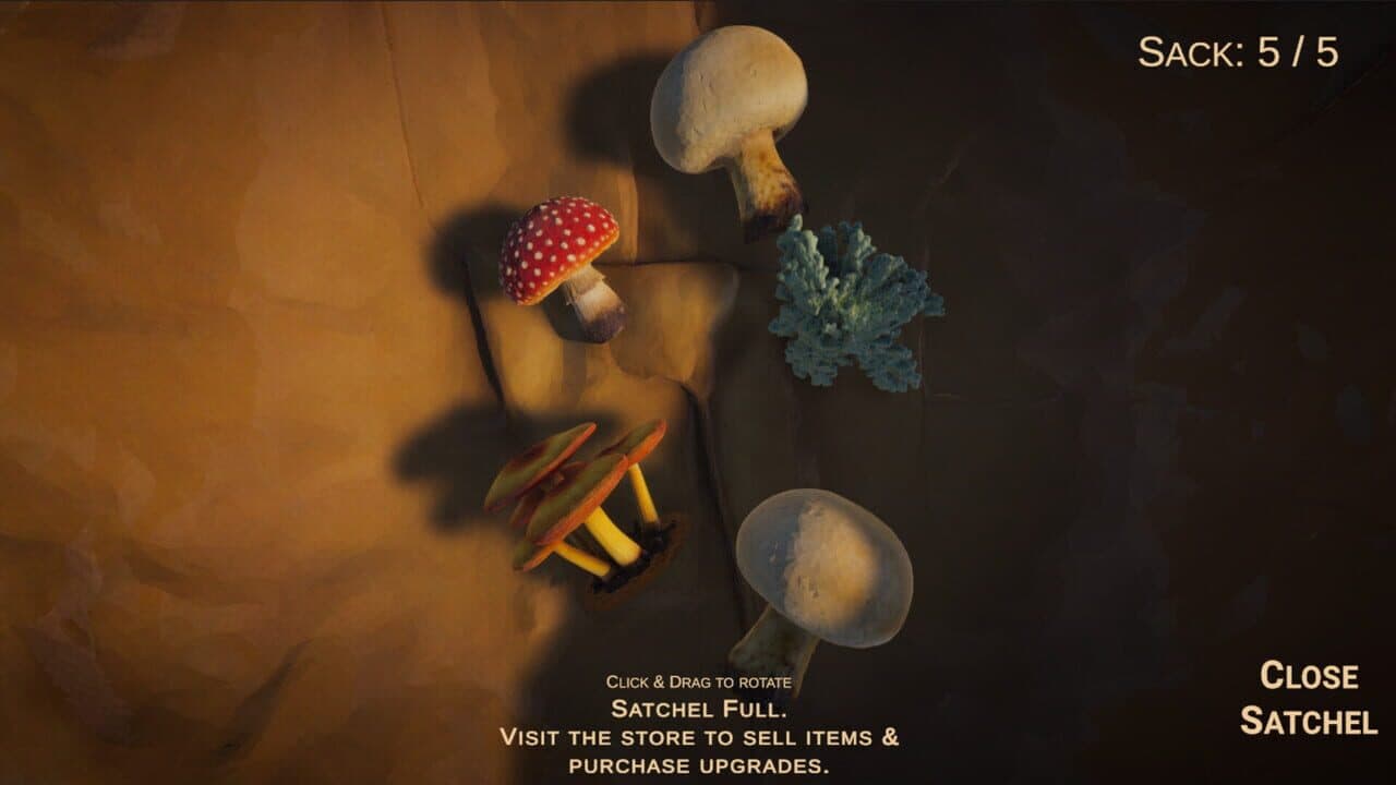 Forager's Finds thumbnail 13
