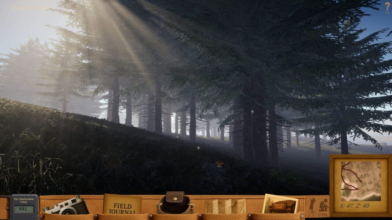 Forager's Finds thumbnail 7