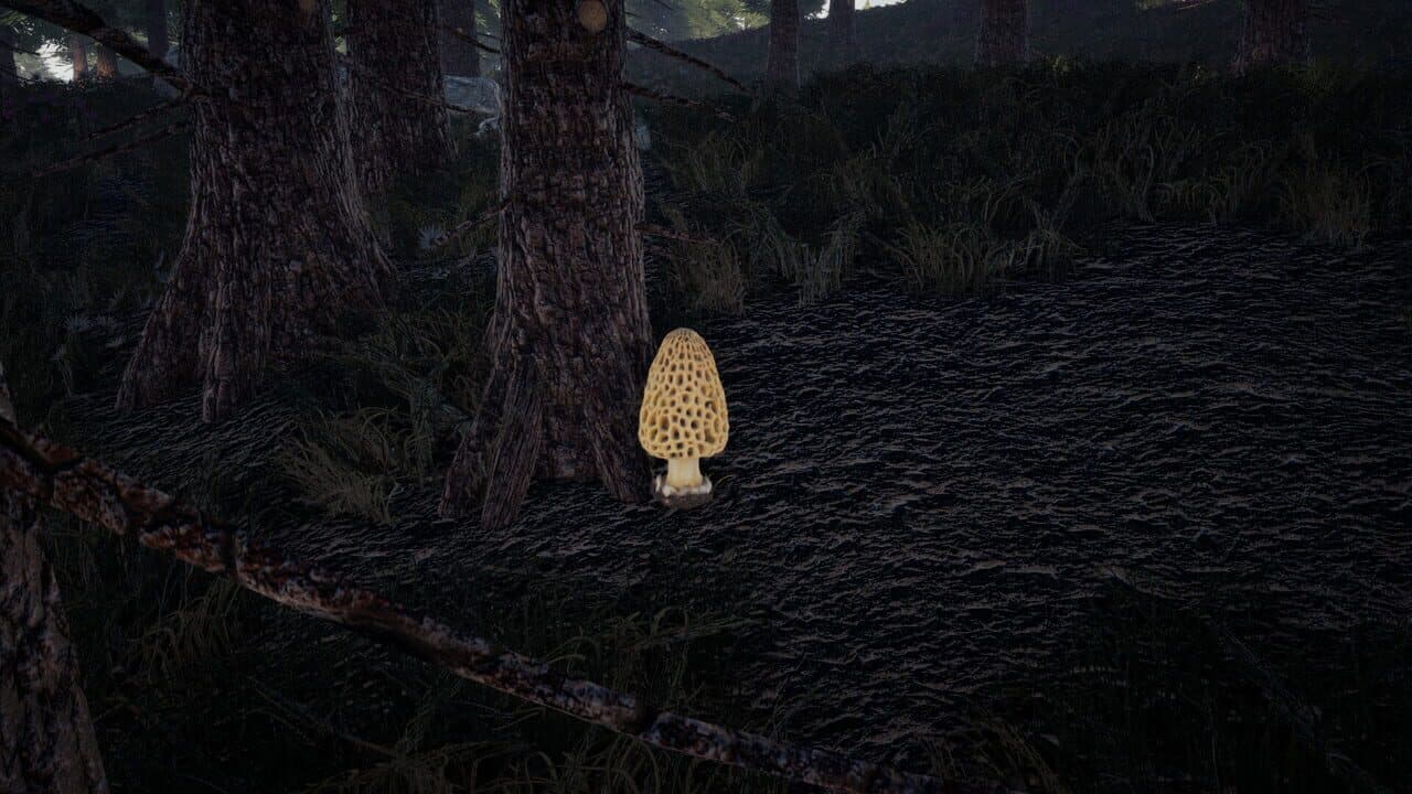 Forager's Finds thumbnail 9