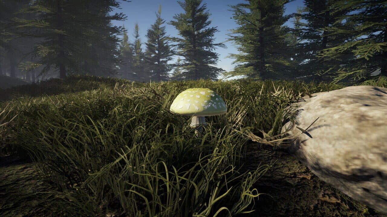 Forager's Finds thumbnail 2