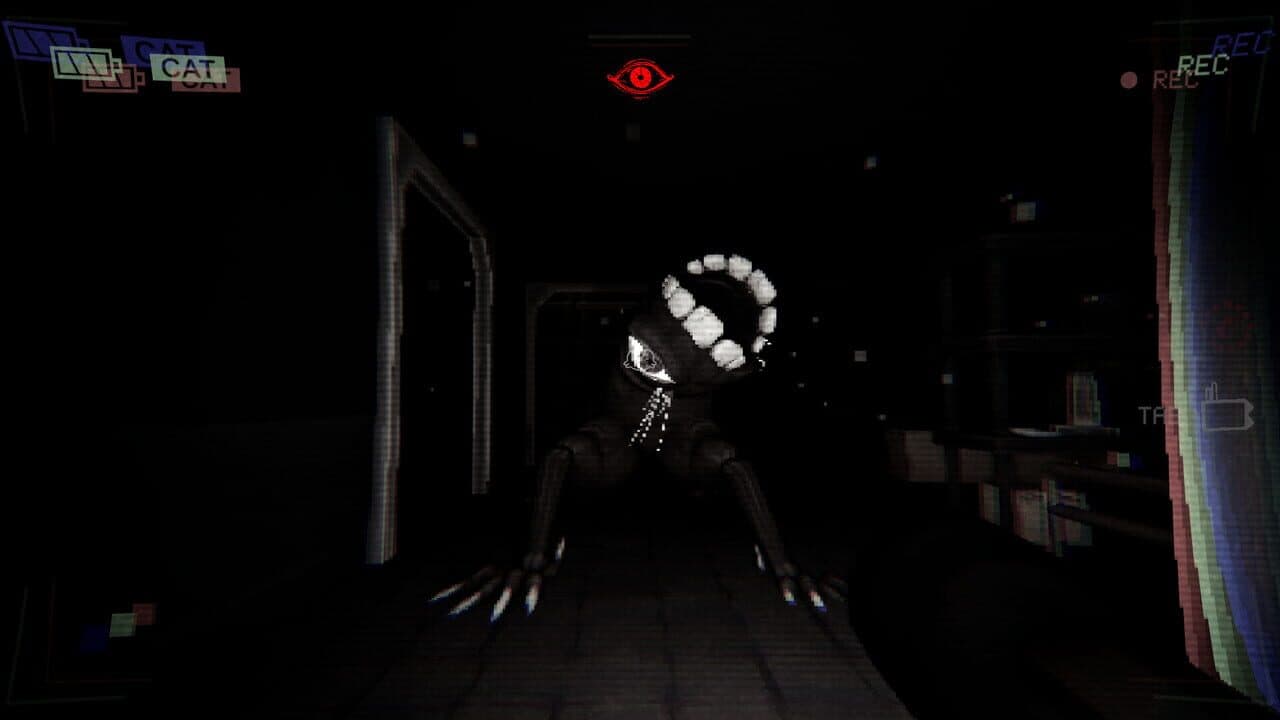 Have You Seen This Cat? thumbnail 3