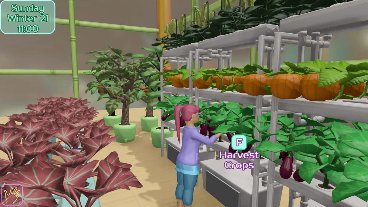 Cave Oasis at Shylake thumbnail 2