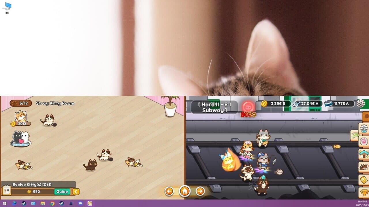 Meowniverse thumbnail 5