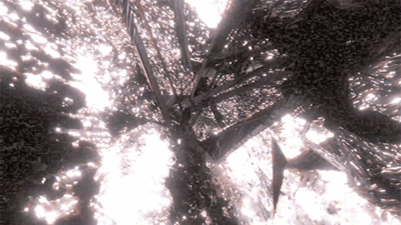 Nodomus thumbnail 2