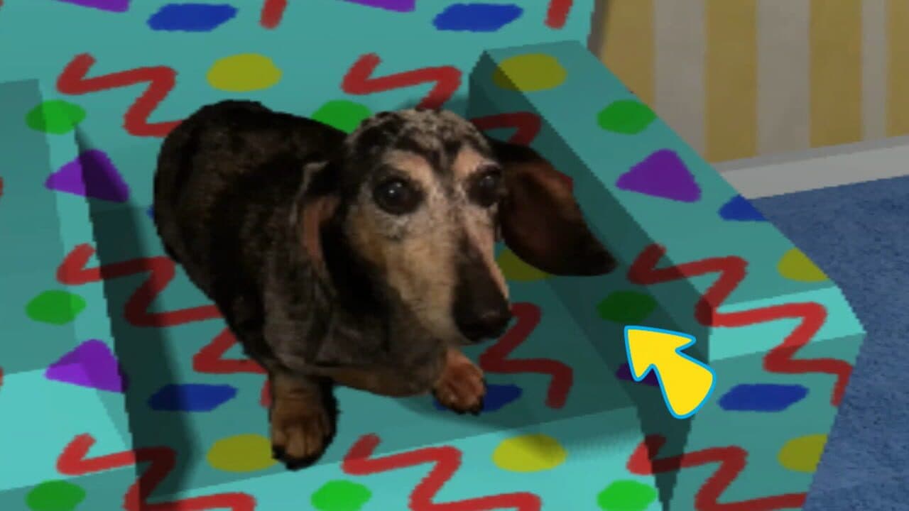 Chip’s Tips thumbnail 3