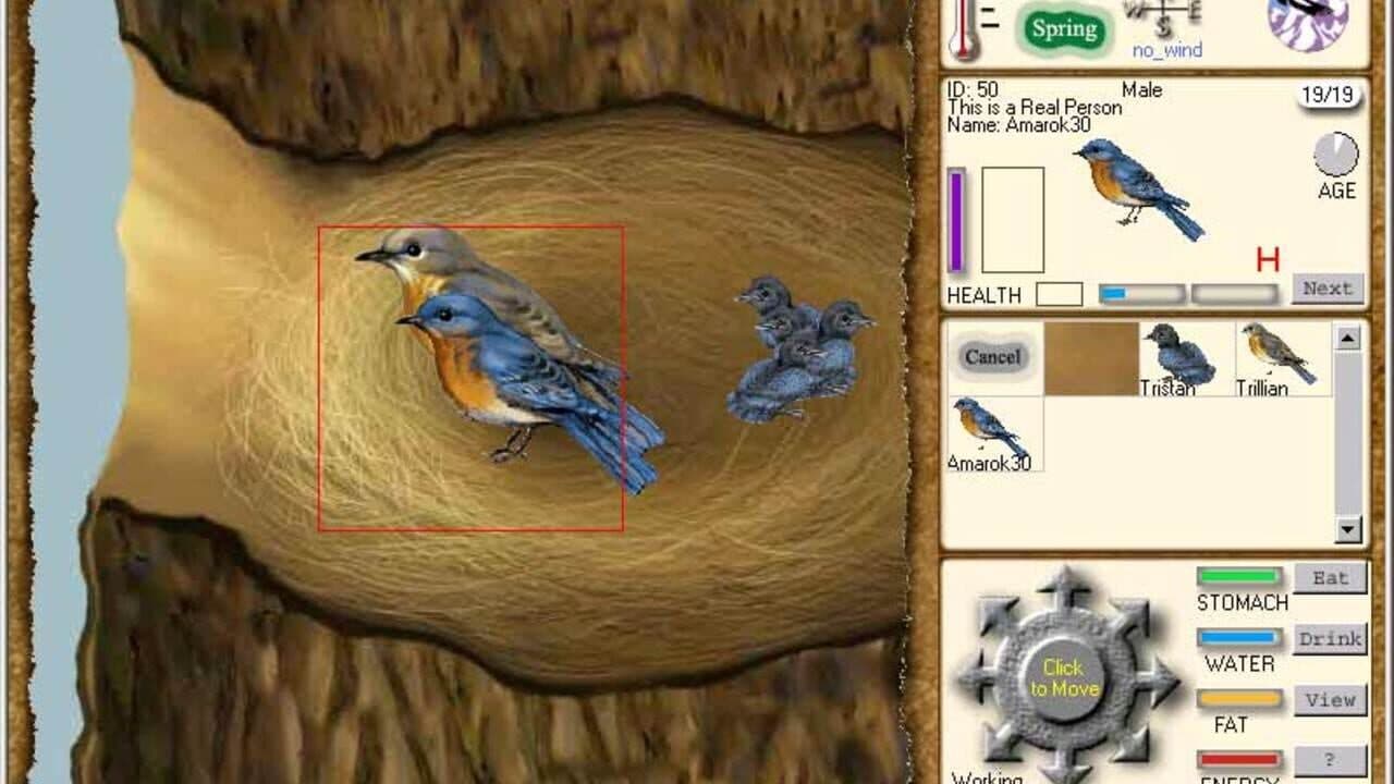 Web Earth Online thumbnail 3