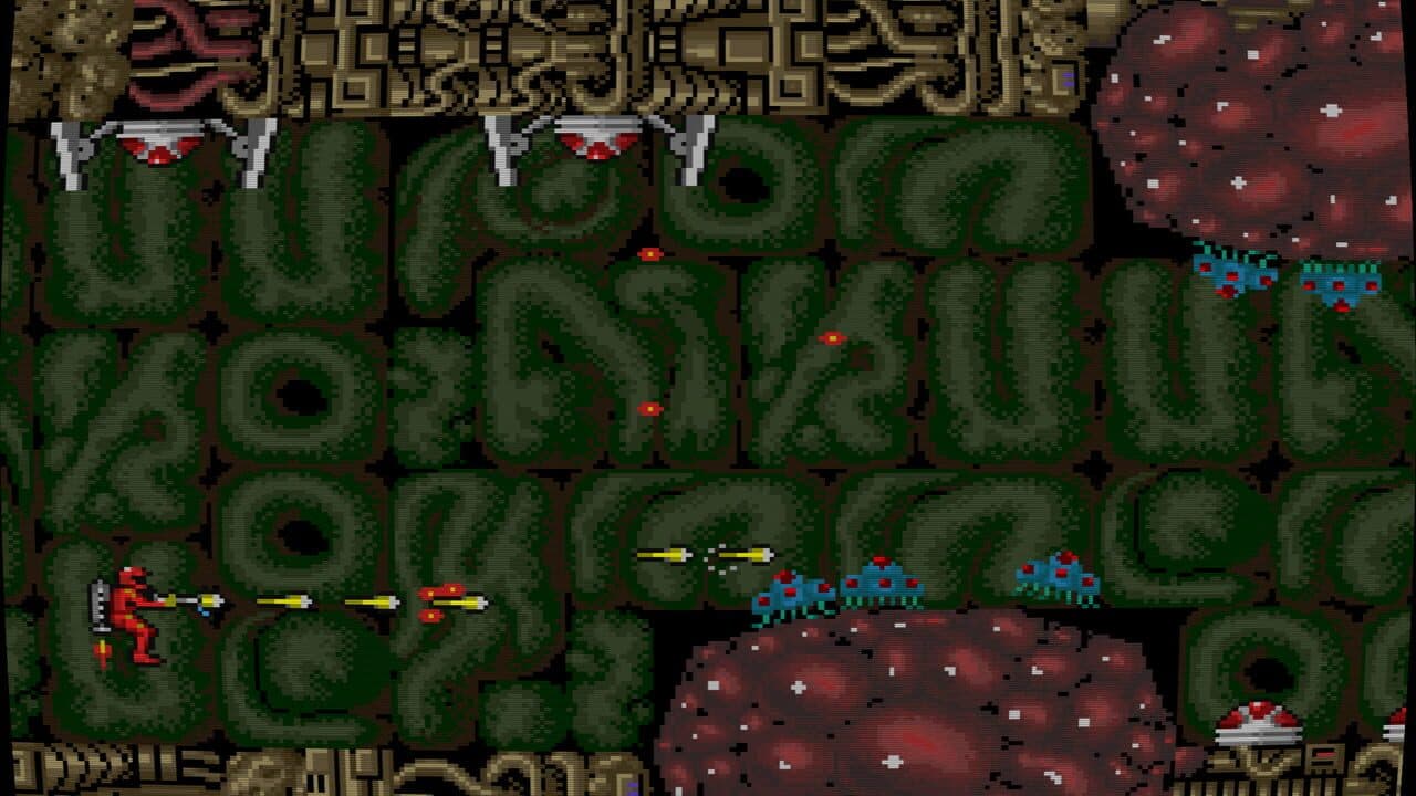 Section-Z thumbnail 7