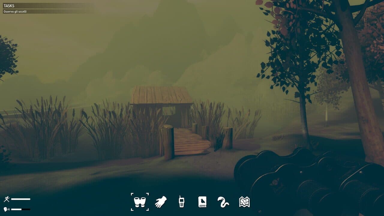 Birds Watching screenshot 1