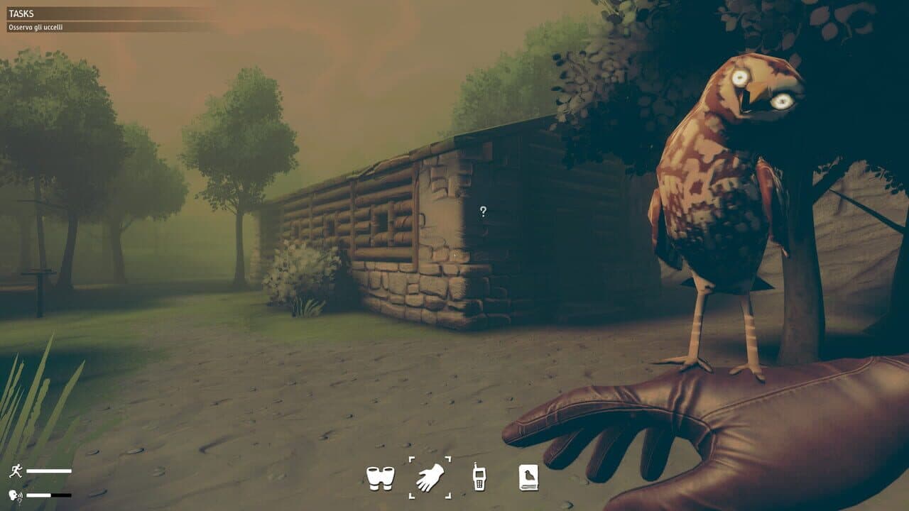 Birds Watching thumbnail 2