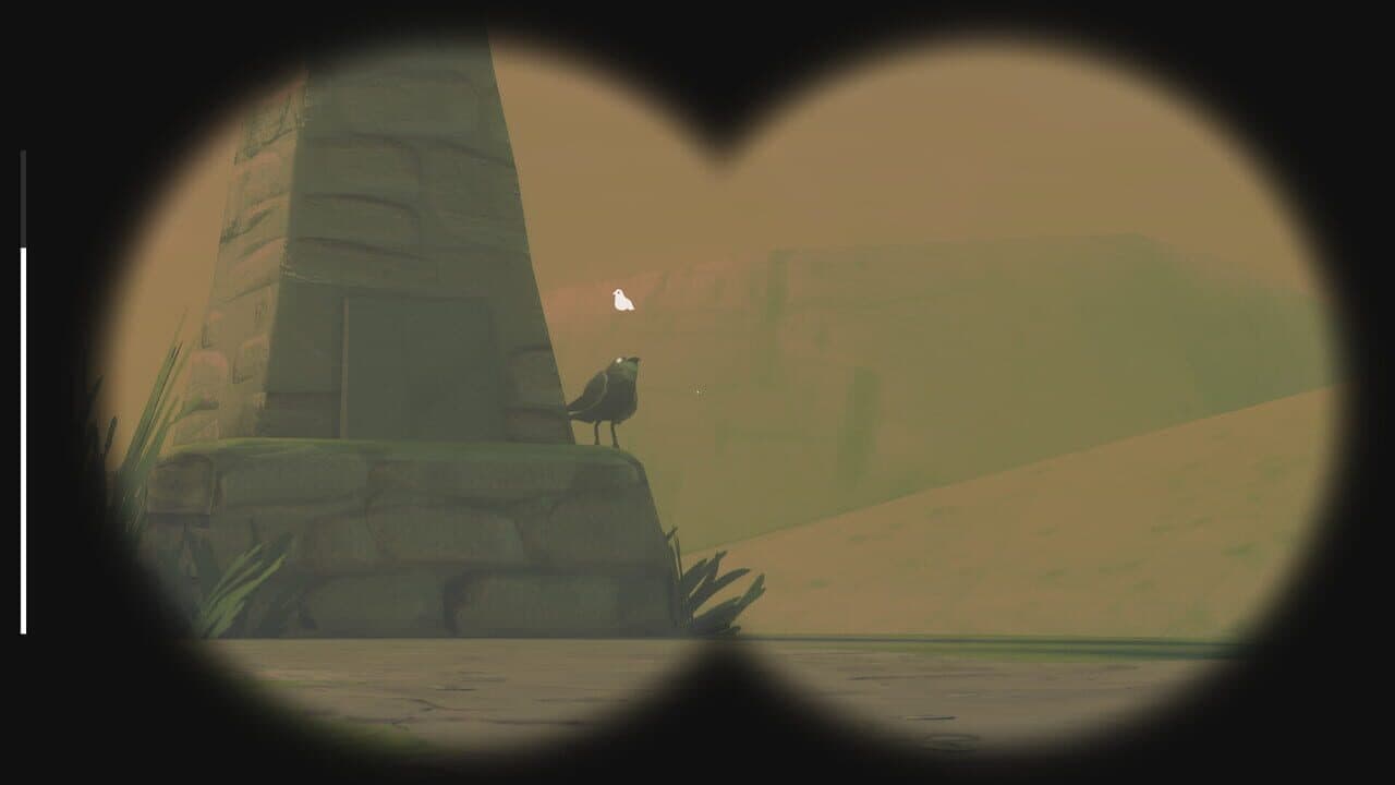 Birds Watching thumbnail 3