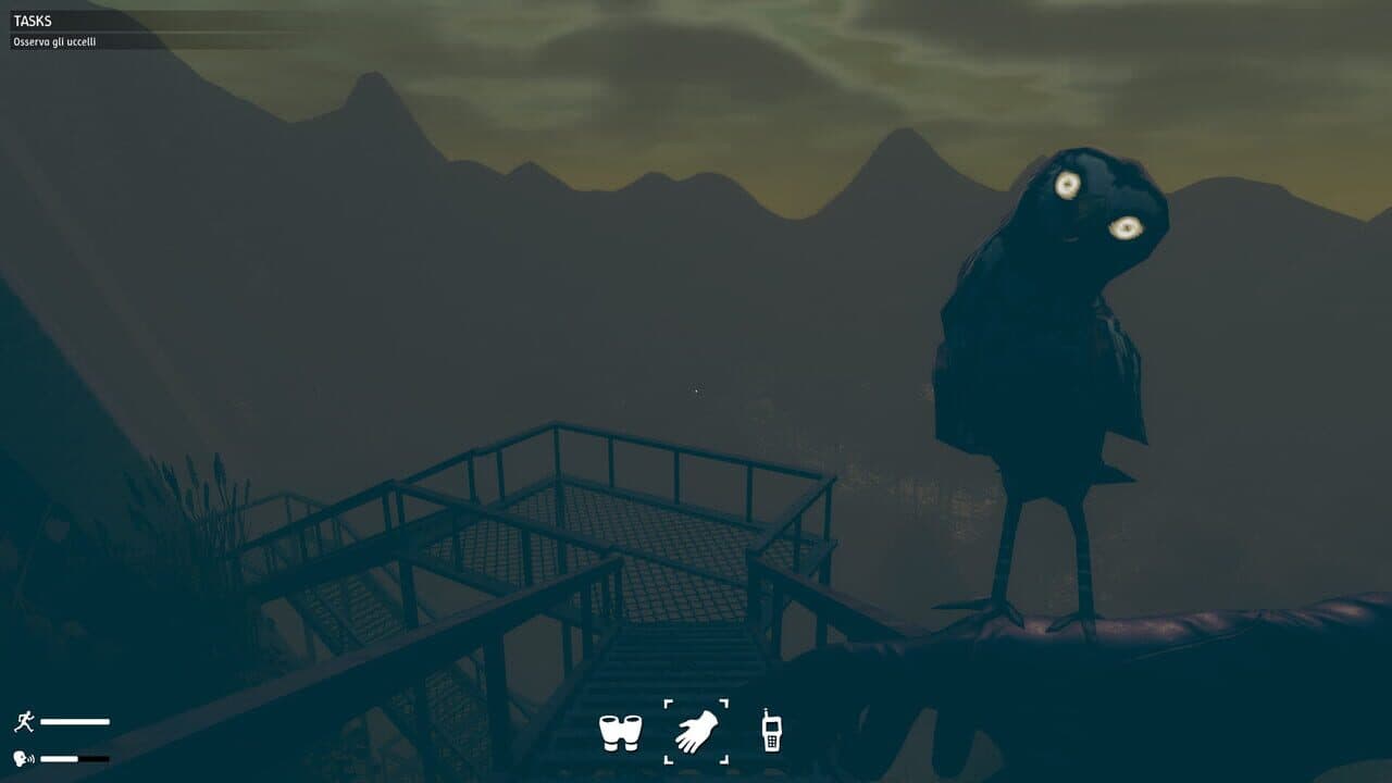 Birds Watching thumbnail 6