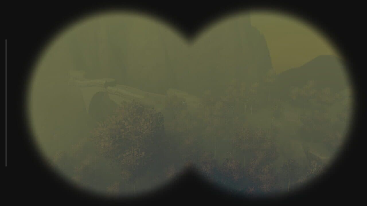 Birds Watching thumbnail 7