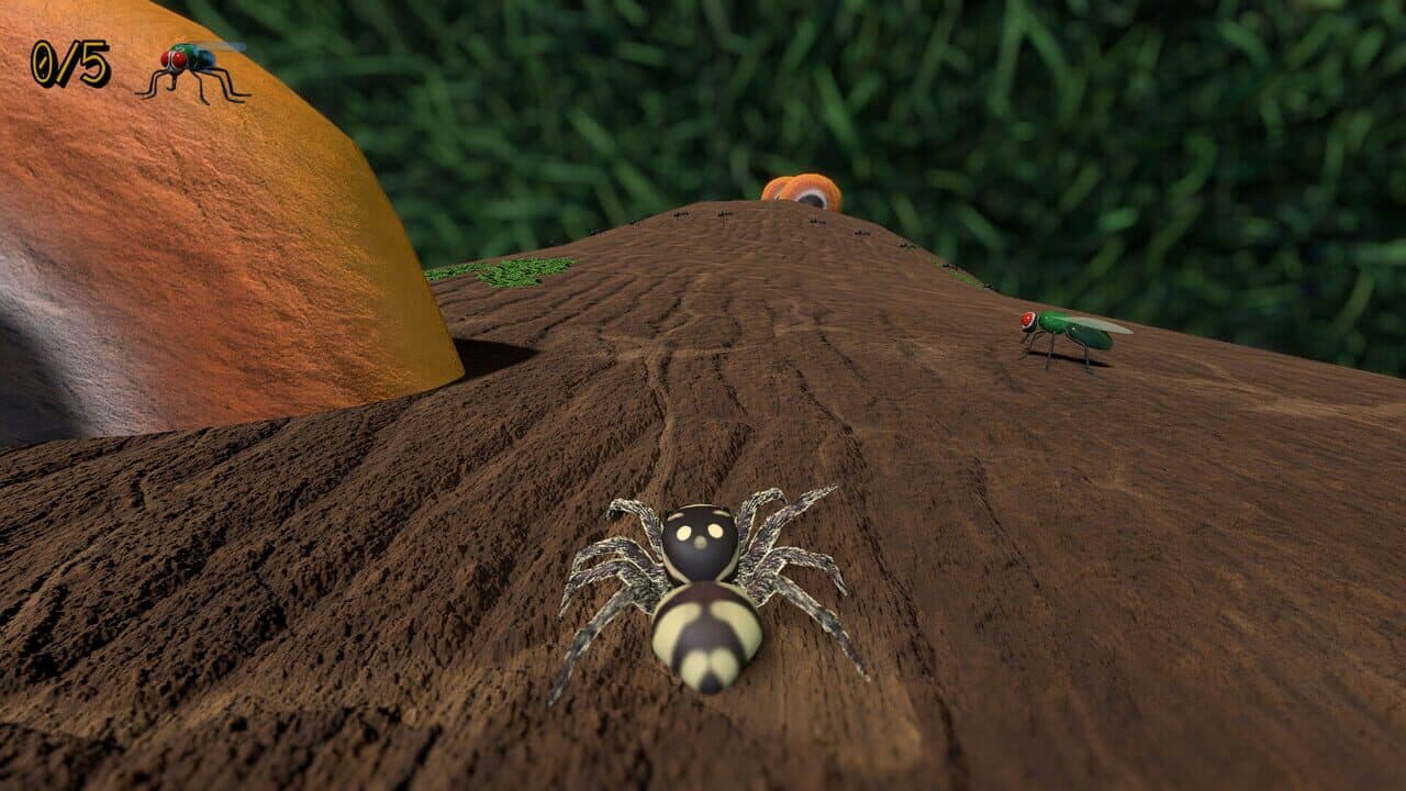 A little Jumpingspider's Garden Adventure (Day 1+2) thumbnail 2