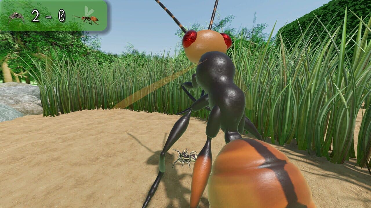 A little Jumpingspider's Garden Adventure (Day 1+2) thumbnail 4