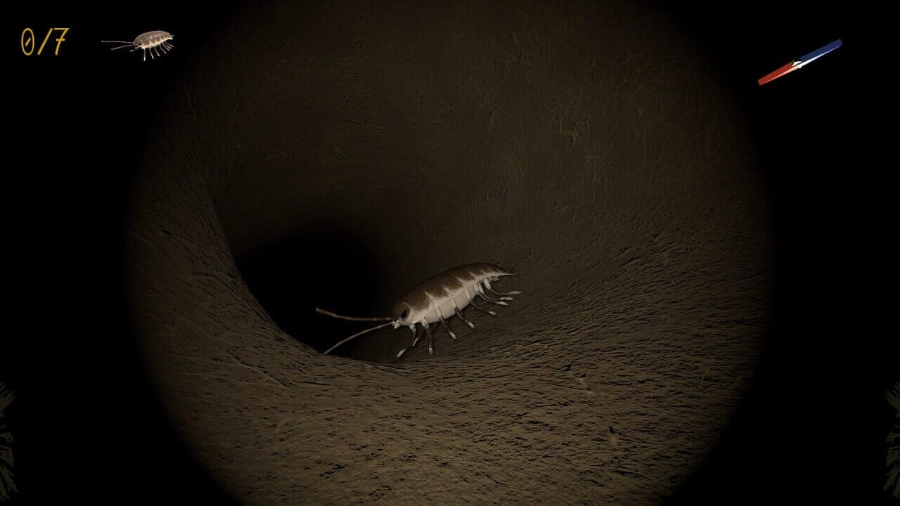 A little Jumpingspider's Garden Adventure (Day 1+2) thumbnail 5