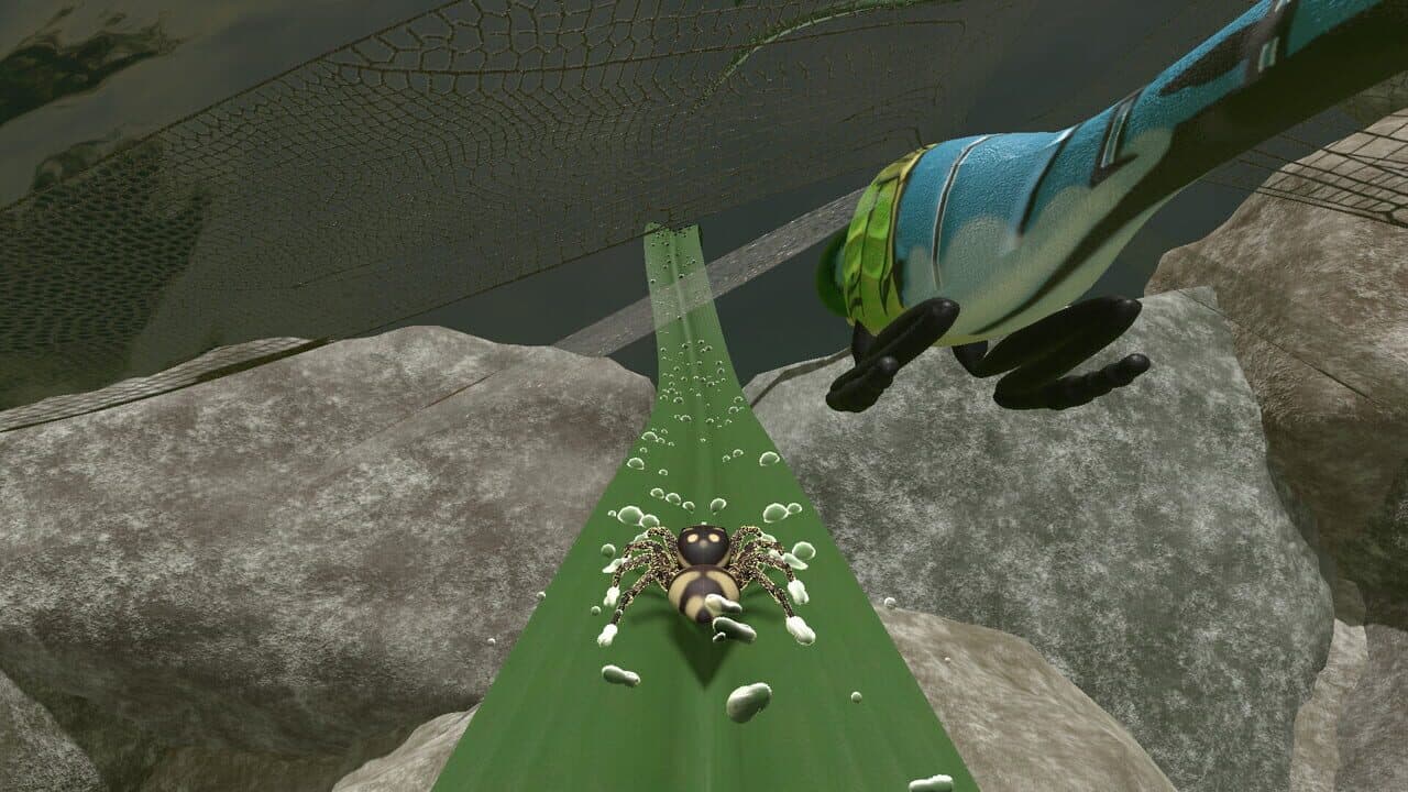 A little Jumpingspider's Garden Adventure (Day 1+2) thumbnail 6