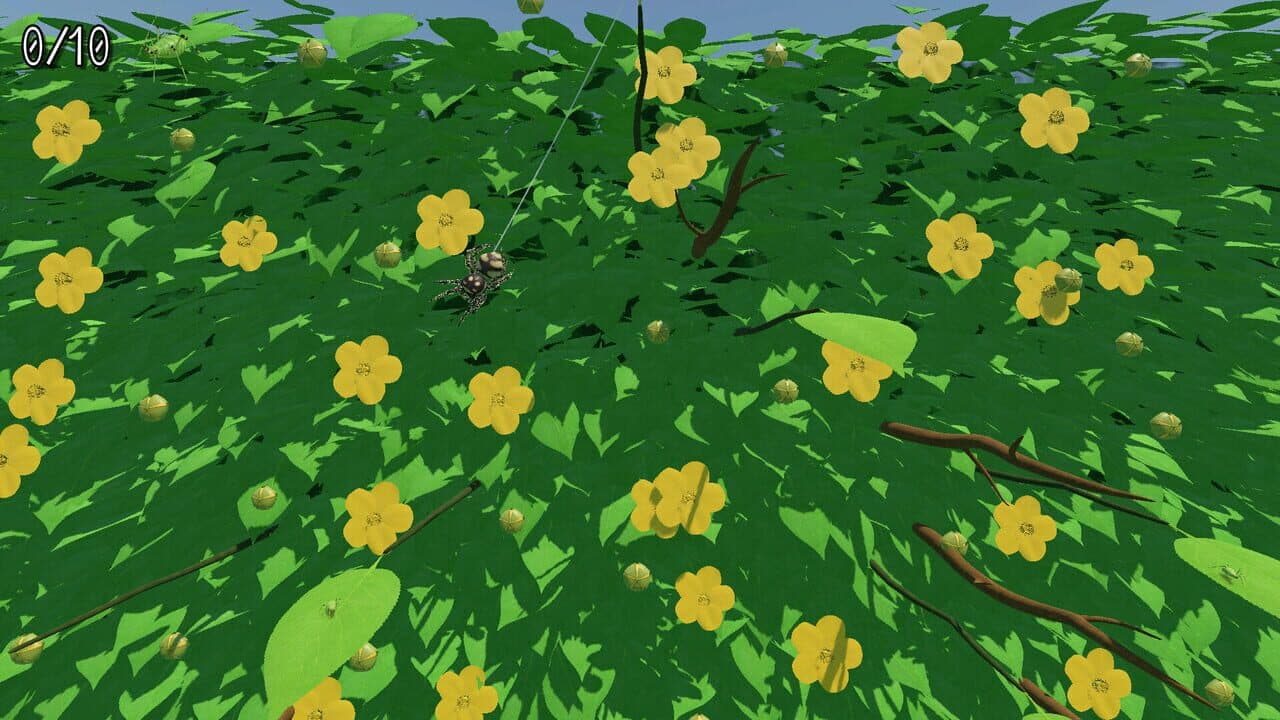 A little Jumpingspider's Garden Adventure (Day 1+2) thumbnail 7