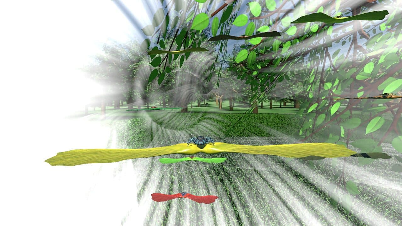 A little Jumpingspider's Garden Adventure (Day 1+2) thumbnail 8