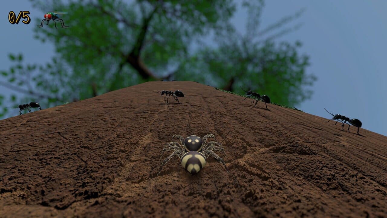 A little Jumpingspider's Garden Adventure (Day 1+2) thumbnail 9