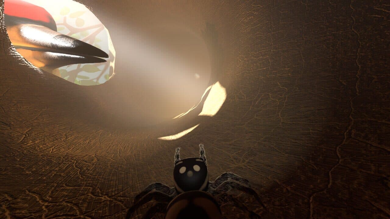 A little Jumpingspider's Garden Adventure (Day 1+2) thumbnail 11