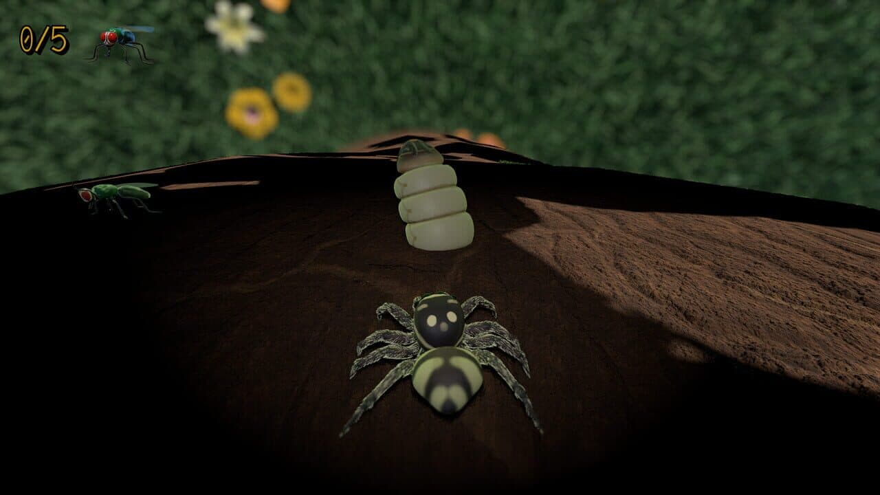 A little Jumpingspider's Garden Adventure (Day 1+2) thumbnail 12