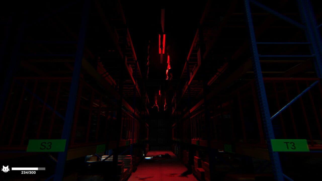 Order 13 thumbnail 4