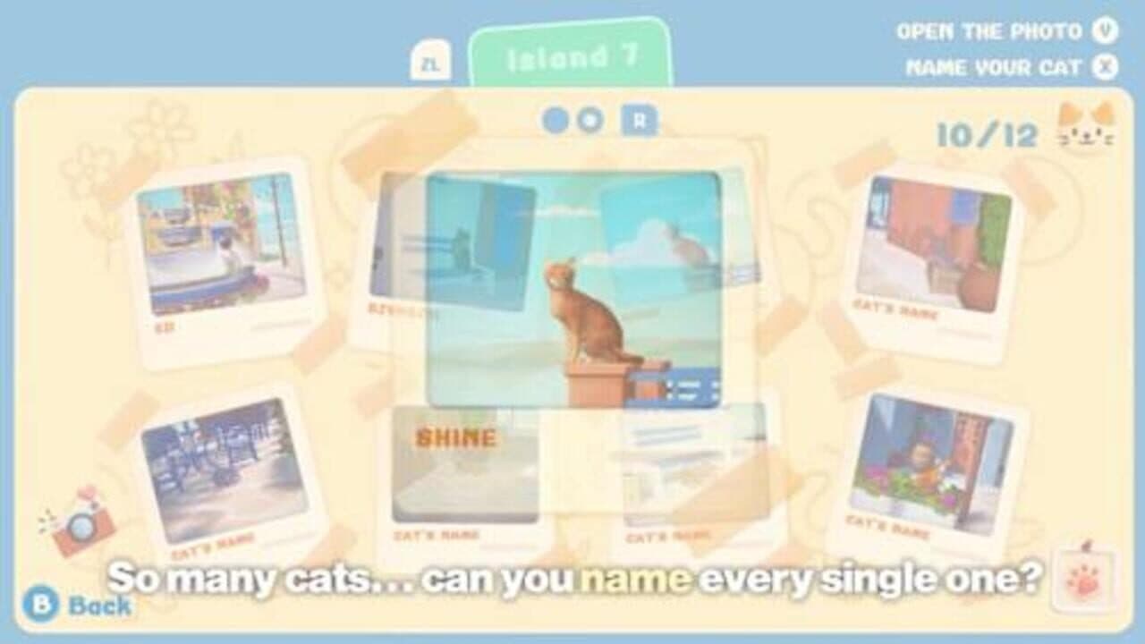 Cozy Life Collection thumbnail 4