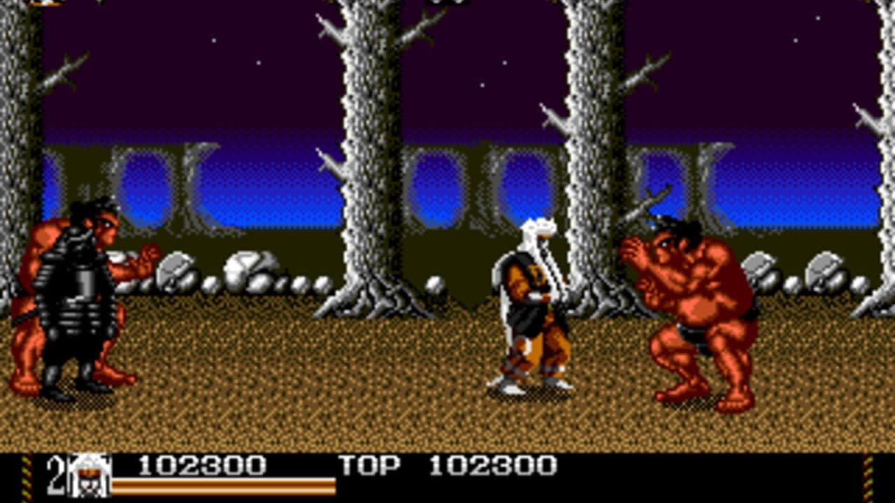 Mystical Fighter thumbnail 2