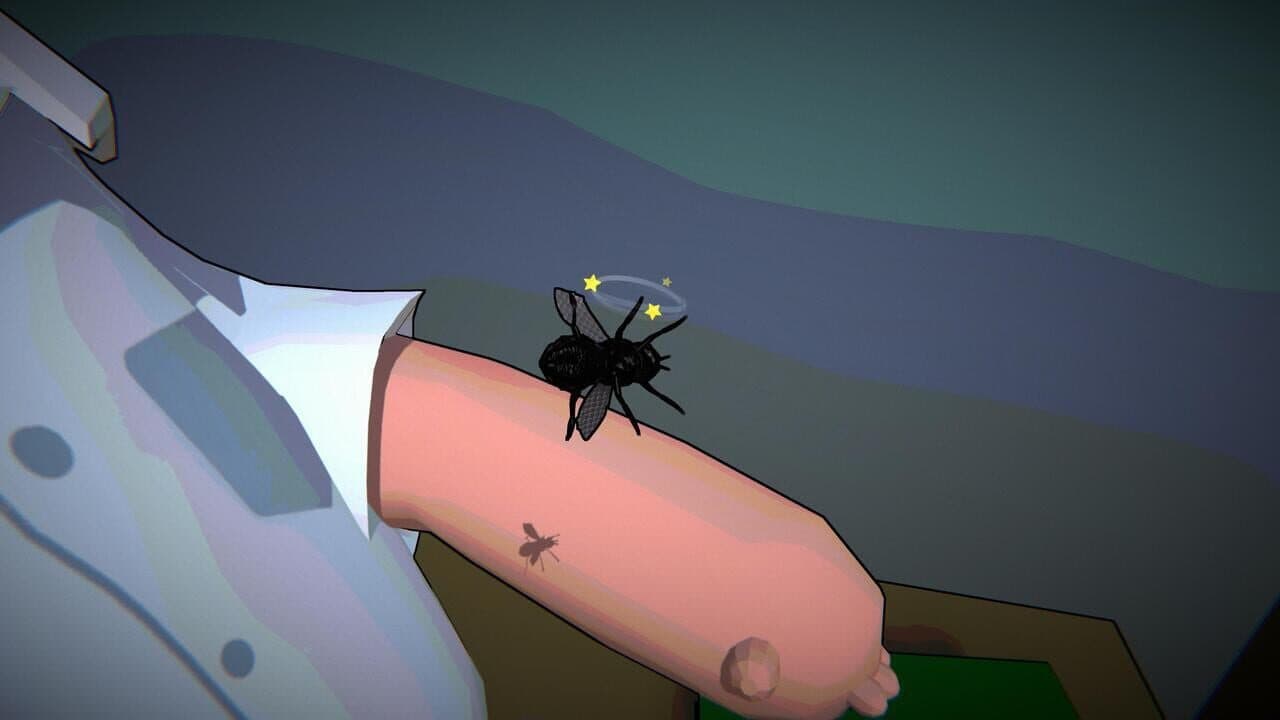 Fly for Fly thumbnail 6