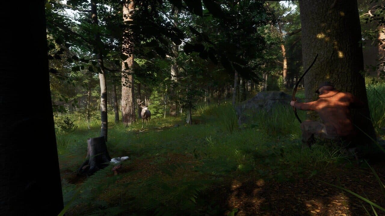 Ardem thumbnail 5