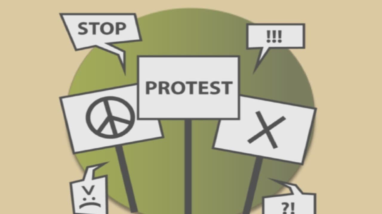Protest Sim screenshot 1
