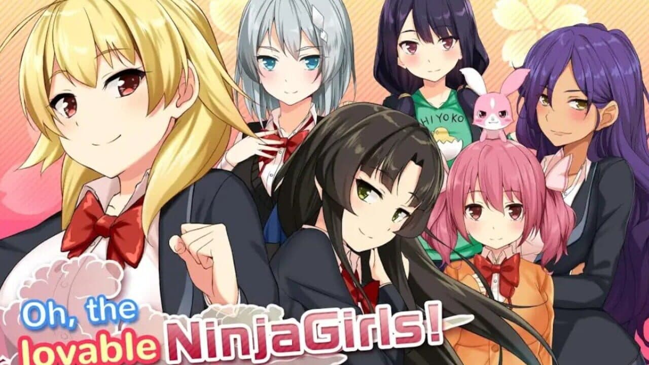 Moe! Ninja Girls thumbnail 2