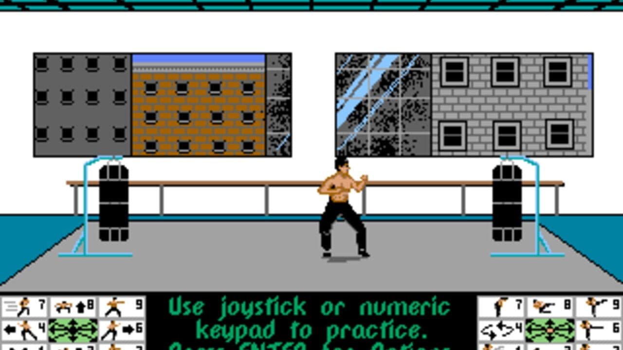 Bruce Lee Lives: The Fall of Hong Kong Palace thumbnail 2
