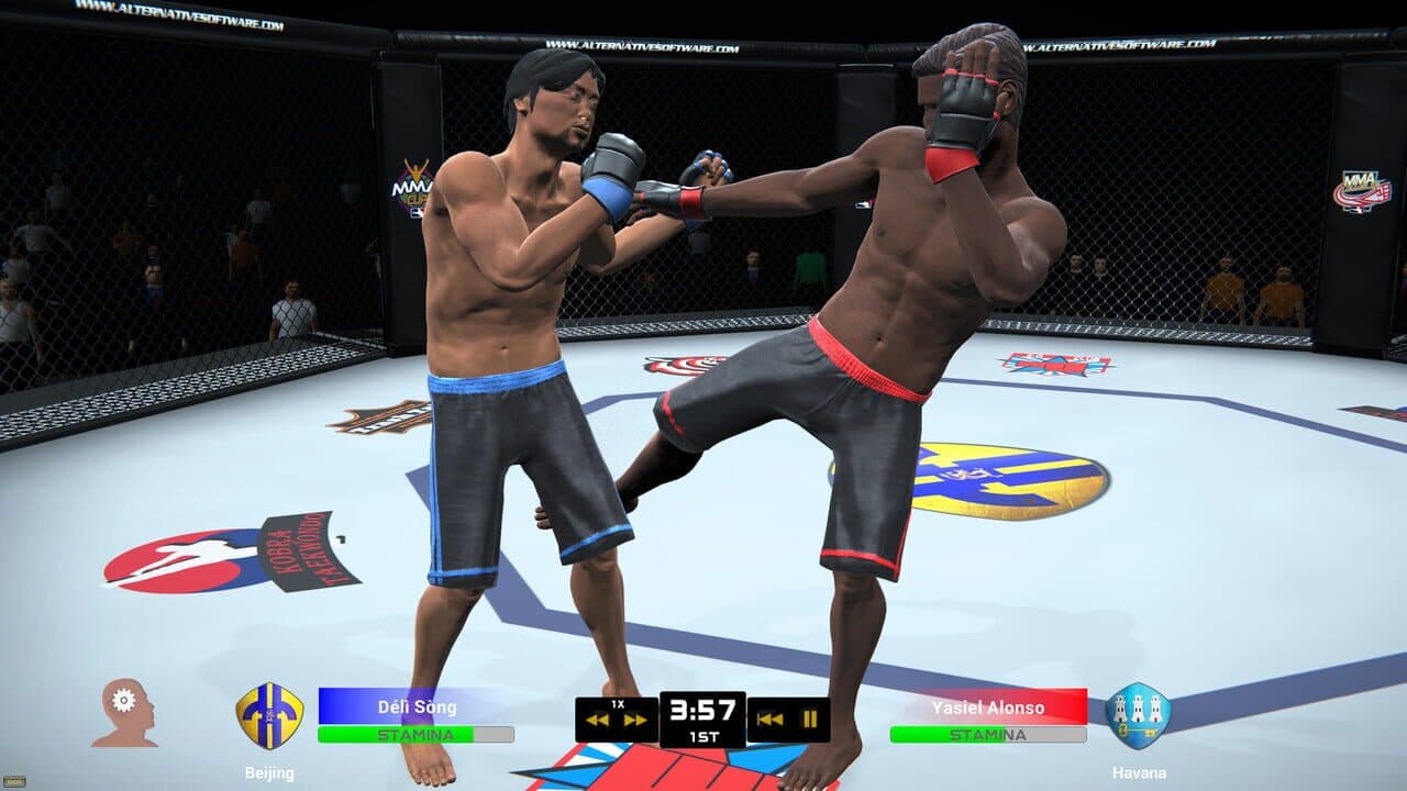 MMA Team Manager thumbnail 6