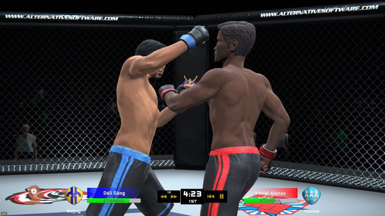 MMA Team Manager thumbnail 8