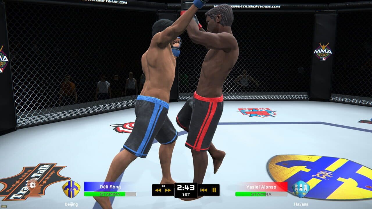 MMA Team Manager thumbnail 9