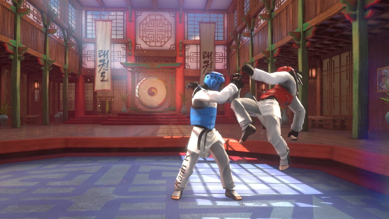 Taekwondo Grand Prix thumbnail 8
