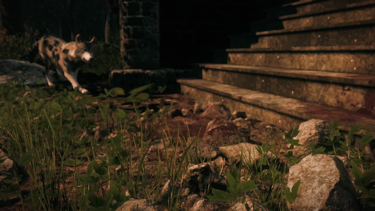 Maid of Sker thumbnail 5